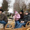 kapele_konji_2012__42_.jpg