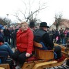 kapele_konji_2012__21_.jpg