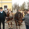 kapele_konji_2012__53_.jpg