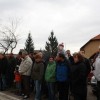 kapele_konji_2012__27_.jpg
