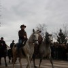 kapele_konji_2012__12_.jpg
