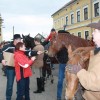 kapele_konji_2012__30_.jpg