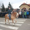 kapele_konji_2012__14_.jpg