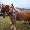 nemska_gora_004.jpg