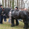 nemska_gora_005.jpg