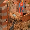 jaslice_007.jpg