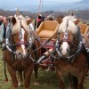 nemska_gora_008.jpg