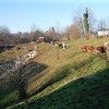 bozicnik_7006.jpg