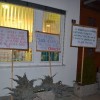 protest00027.jpg