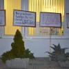 protest00026.jpg