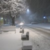 sneg_013.jpg
