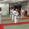 19___krsko_karate_seminar___5250_tonfa_sai_jkk_yuki2013___foto_arhiv_jukic.jpg