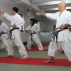 15___krsko_karate_seminar____5248_tonfa_sai_jkk_yuki2013___foto_arhiv_jukic.jpg