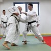 06___krsko_karate_seminar___5263_tonfa_sai_jkk_yuki2013___foto_arhiv_jukic.jpg