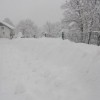 zapudje_006.jpg
