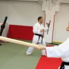 14___krsko_karate_seminar___5163_tonfa_sai_jkk_yuki2013___foto_arhiv_jukic.jpg