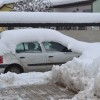 sneg0007.jpg