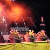 dobrodelni_koncert_pom008.jpg