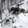 s0292030.jpg