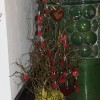 img_1838_000.jpg