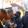 dobova_2013__137_.jpg