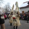 dobova_2013__56_.jpg