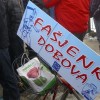 dobova_2013__125_.jpg