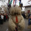 dobova_2013__104_.jpg