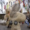 dobova_2013__156_.jpg