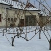 vino_016.jpg