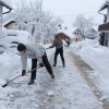 35_cm_na_eno_toliko_podlage__5_.jpg