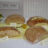 kruh057.jpg