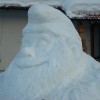 skrat_007.jpg