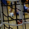 sfl_35.jpg