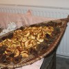 img_2443_000.jpg