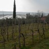 seca08.jpg