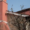 seca04.jpg