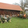 sodelovanje_003.jpg