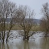 poplave0008.jpg