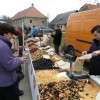 vesela_gora_011.jpg
