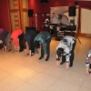 iskrasi_031.jpg