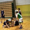 img_pomlad_160313_31.jpg