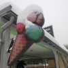 12022012154.jpg