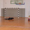 maks_pletersnik_040.jpg
