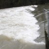 20130310_11313.jpg