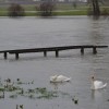 poplave0006.jpg