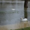 poplave0009.jpg