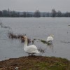 poplave340010.jpg