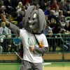 krka_olimpija_01.jpg