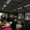 golia008.jpg